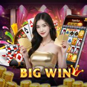 wildbet777