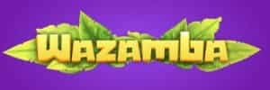 Blazer com