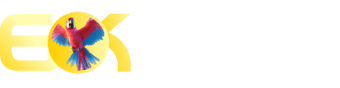 Classificações de série b 23 - Boxswin
